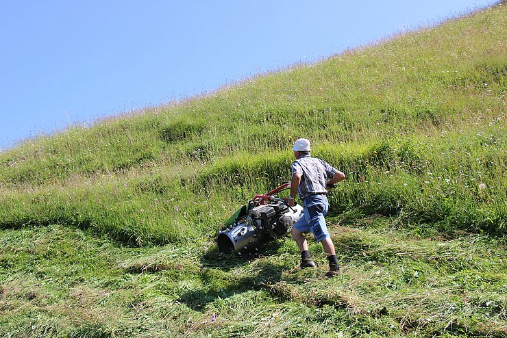 Gutes Futter und gleichzeitig Schutz vor Erosion – das bieten klimafitte Wiesen mit trockenresistenten Grünlandpflanzen. Das Land Tirol weitet das Programm zur Verbesserung der Grünlandbestände nun auf Steilflächen aus.  