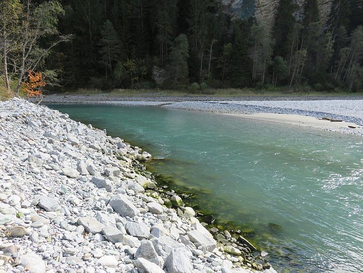 Renaturierung Serfaus am Inn