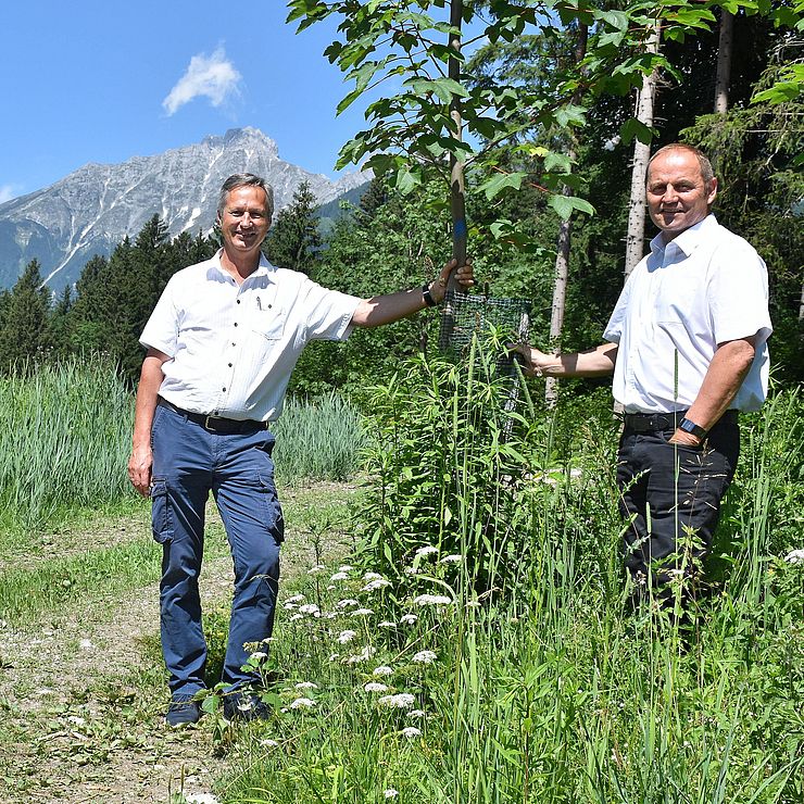 "Tirols Bergwald in all seinen Funktionen stärken": LHStv Josef Geisler präsentierte in Arzl in Innsbruck gemeinsam mit Landesforstdirektor Josef Fuchs (links) die Waldstrategie 2030.
