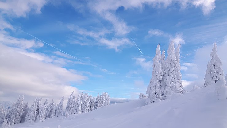 Sportvereinigung der Tiroler Landesbediensteten - Skitour Birgitzköpflhaus am 12.01.2019