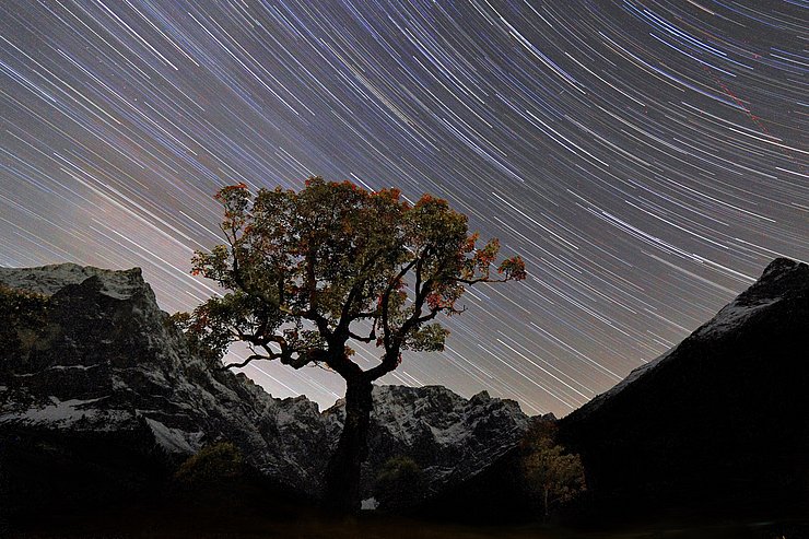 © Michael Schober Nachthimmel mit Baum im Vordergrund