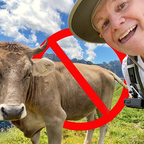 Weidetier ist kein Selfie-Partner