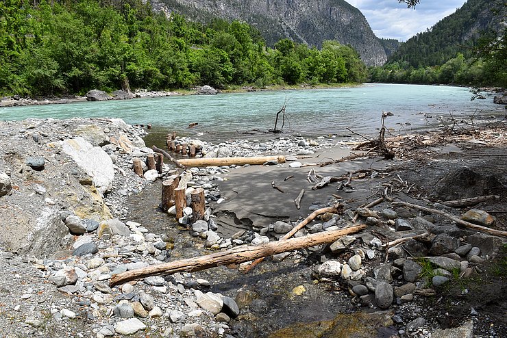 © Land Tirol/Jansenberger Uferbereich des Inn.