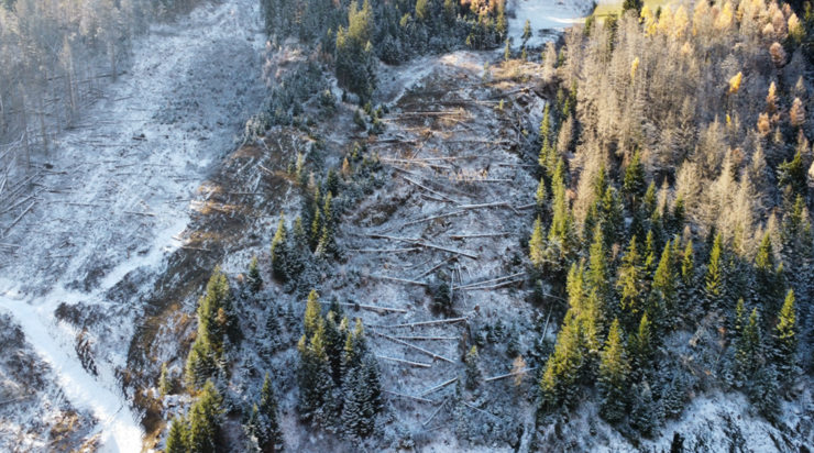 © BFI Osttirol