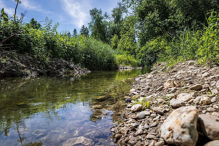 Flusslandschaft