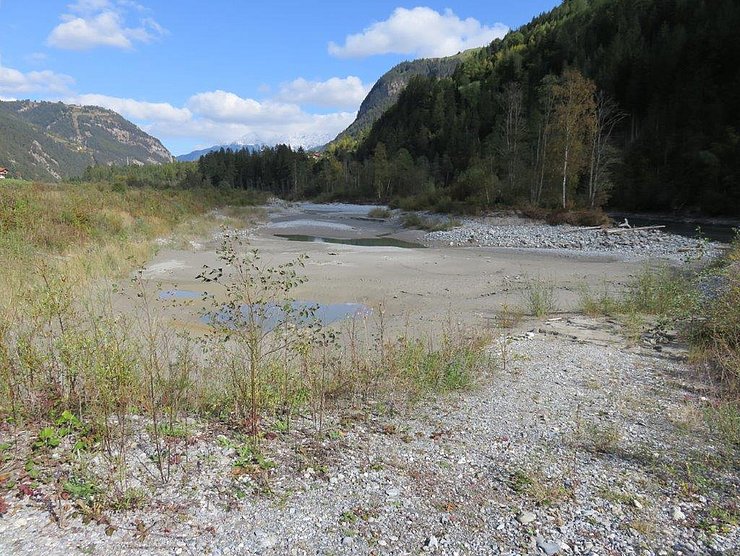 Renaturierung Serfaus am Inn