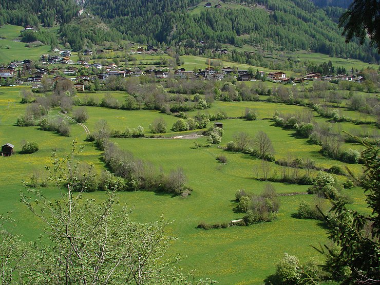 Kleinstrukturen in der Landschaft