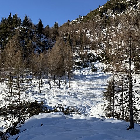 � Land Salzburg OLEX.26: Tirol und Salzburg üben gemeinsam den Ernstfall