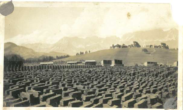 © © Datum und FotografIn unbekannt, zur Verfügung gestellt von Dr. Vitus Grünwald, Archiv Stadtzeitung Getrocknetes Torf